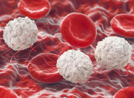 Immunology practice questions