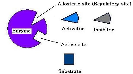 Authenticated embedded content preview