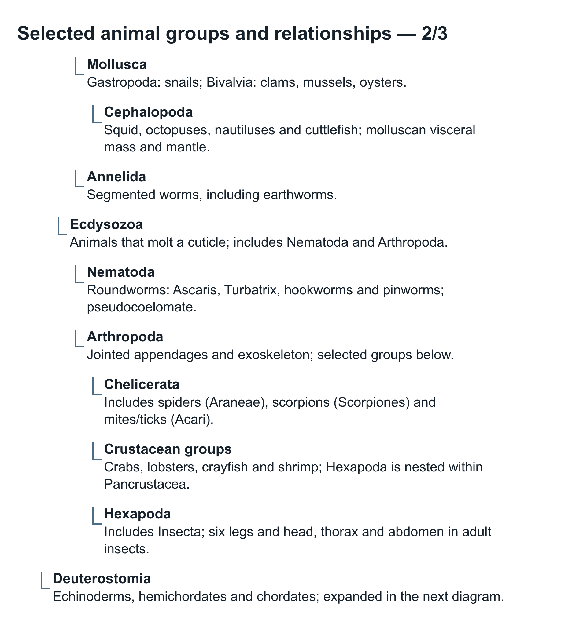 Selected animal relationships animal1, panel 2