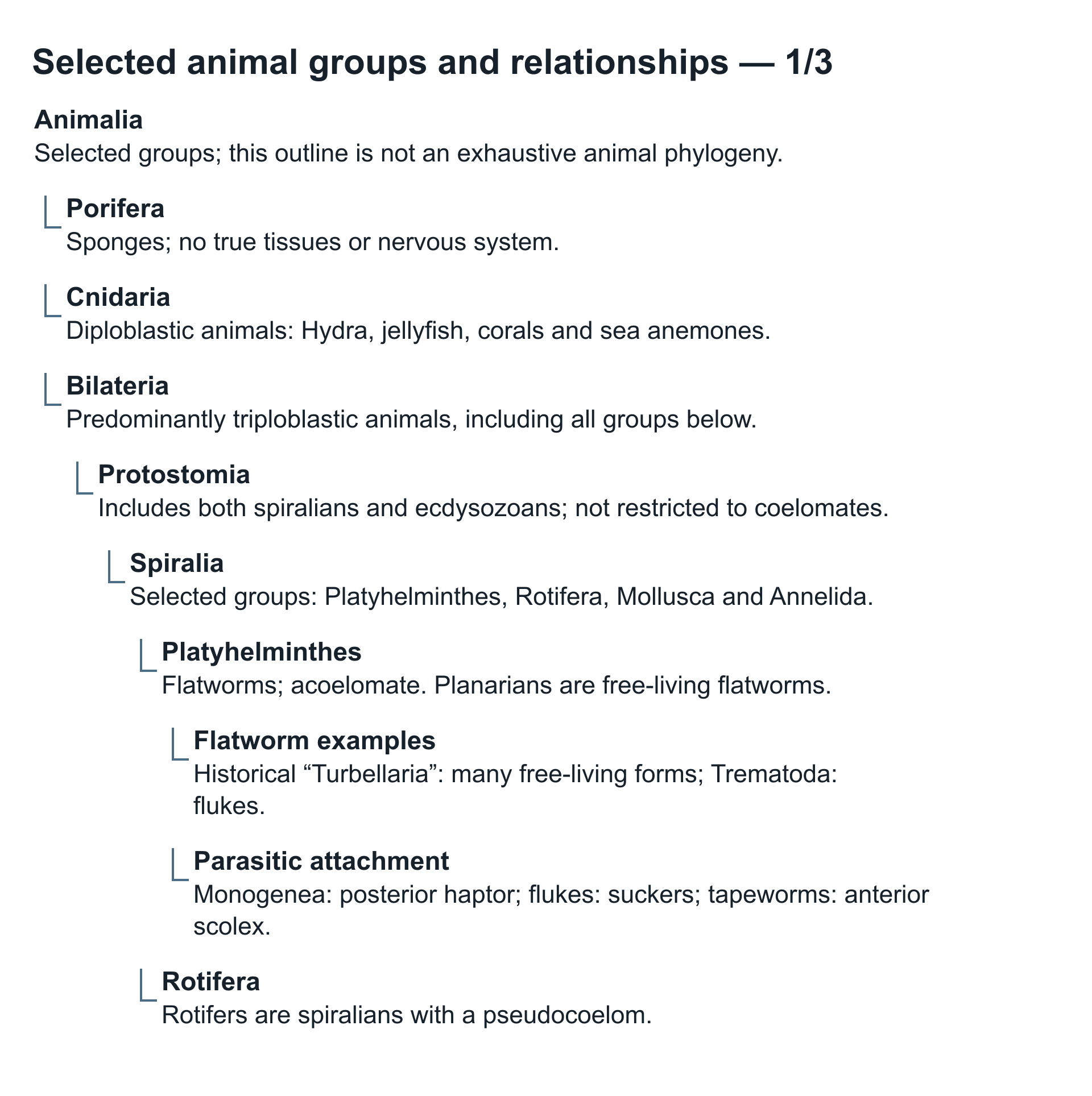 Selected animal relationships animal1, panel 1