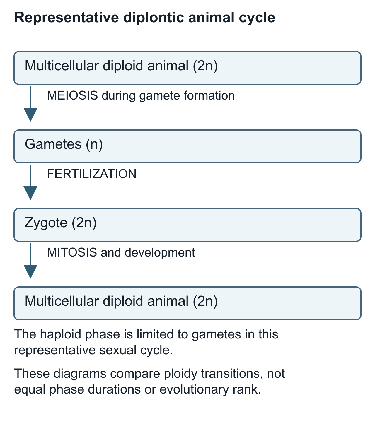 cycle scientific diagram, panel 3