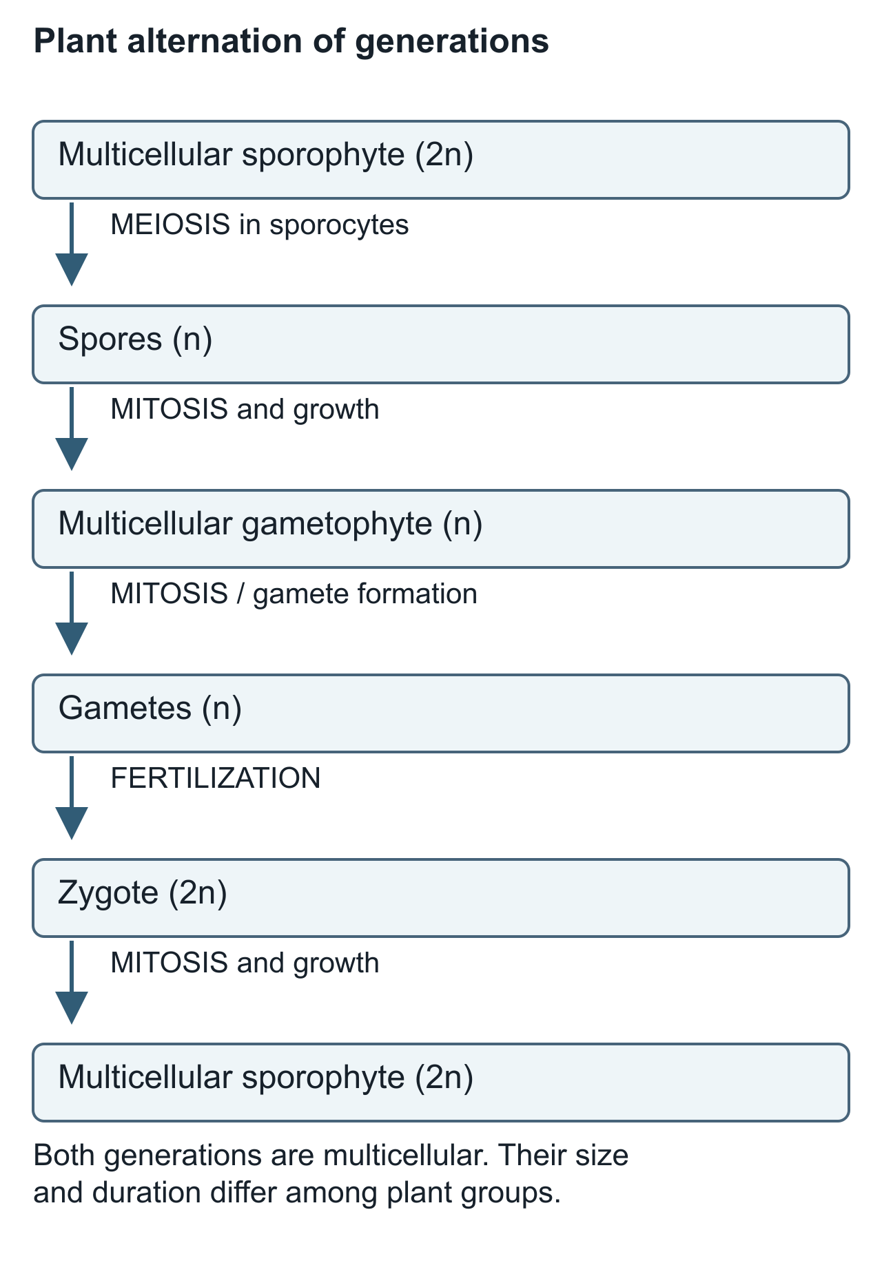 cycle scientific diagram, panel 2