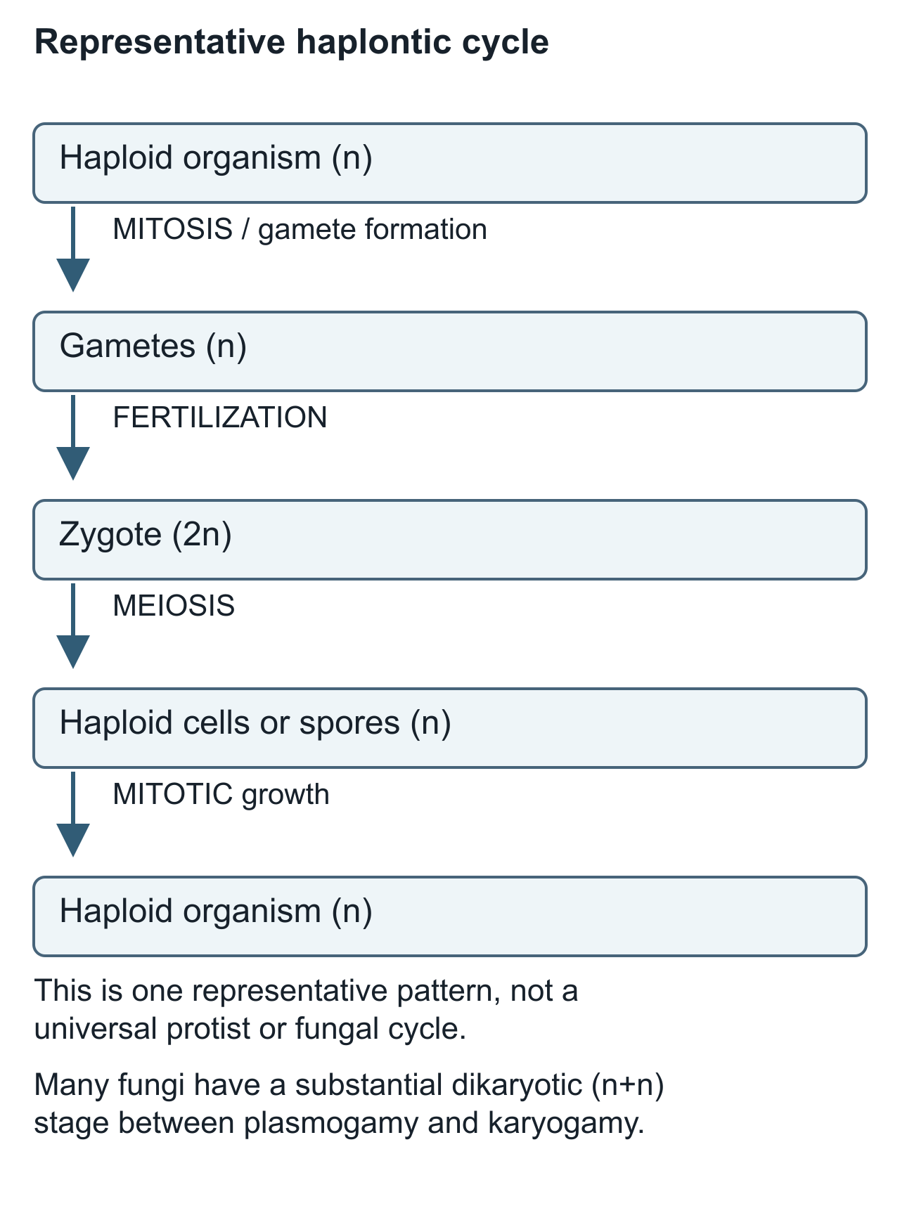 cycle scientific diagram, panel 1