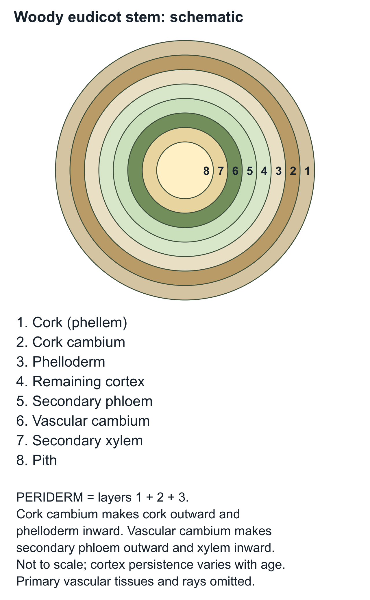 stem scientific diagram, panel 1