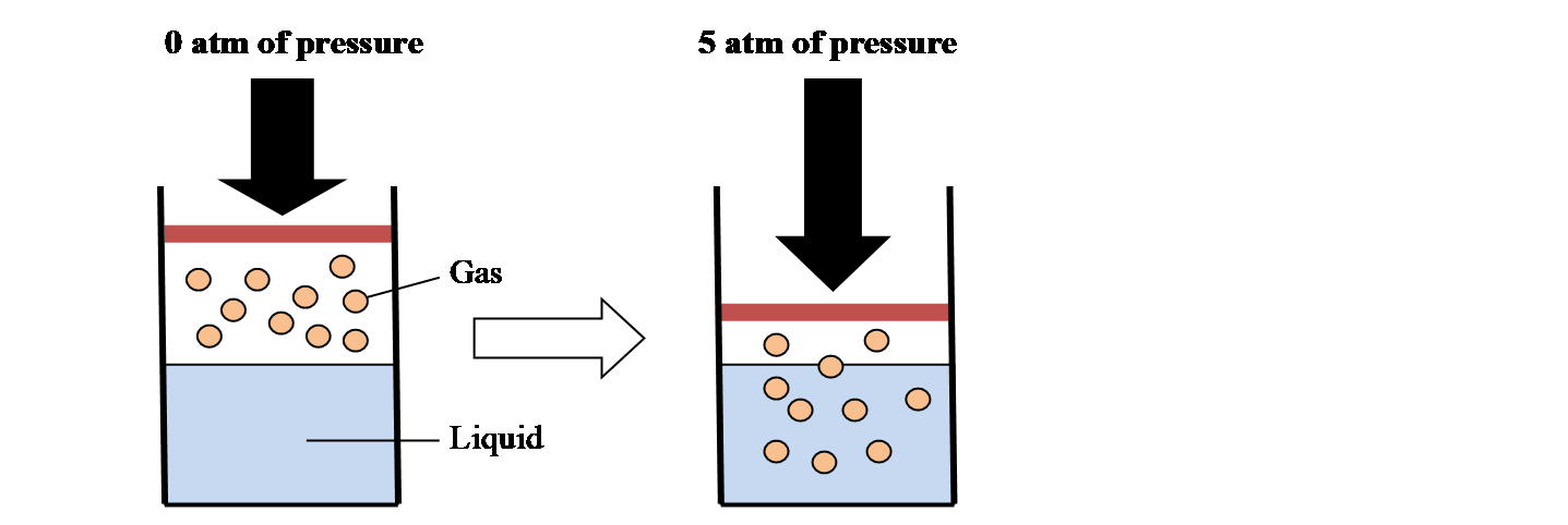 0 atm of pressure 5  atm of pressure   Gas Liquid   
