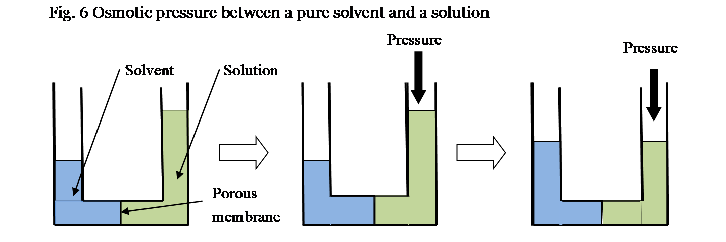Pressure       Fig. 6 Osmotic pressure between a pure solvent and a solution Pressure Solvent Solution Porous membrane