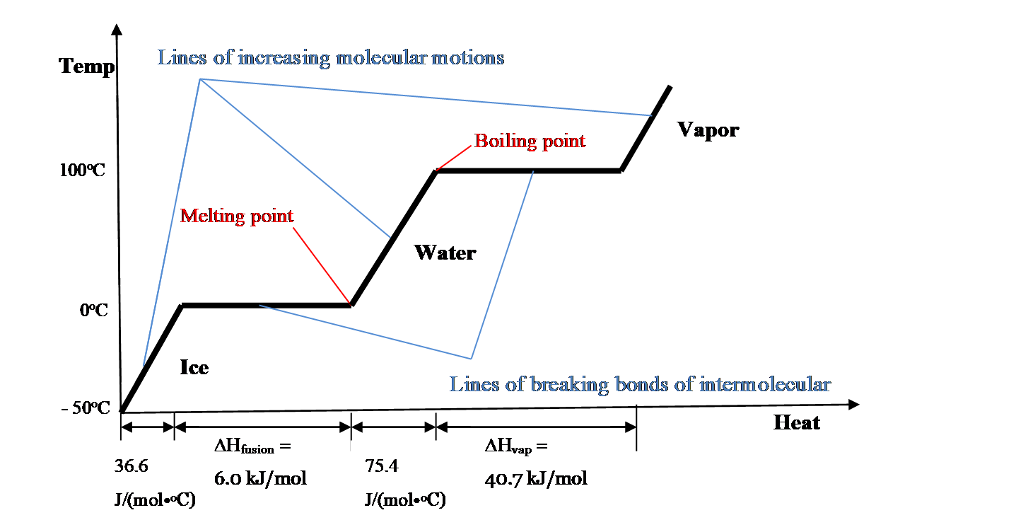Lines of increasing molecular motions Temp Boiling point Vapor 100 o C Melting  point Water 0 o C Lines of  breaking bonds of in termolecular  Ice Heat  - 5 0 o C 36.6   J/(mol • o C) 75.4  J/(mol • o C) H vap  = 40.7  kJ/mol                     H fusion  = 6.0 kJ/mol                    
